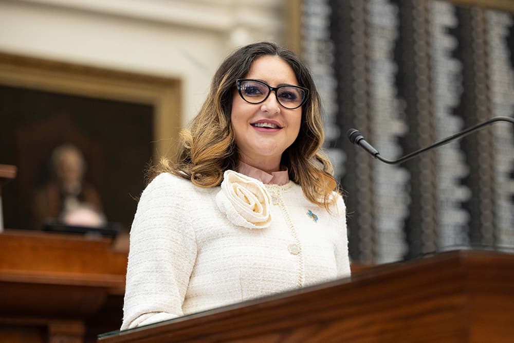 Rep. Mihaela Plesa
